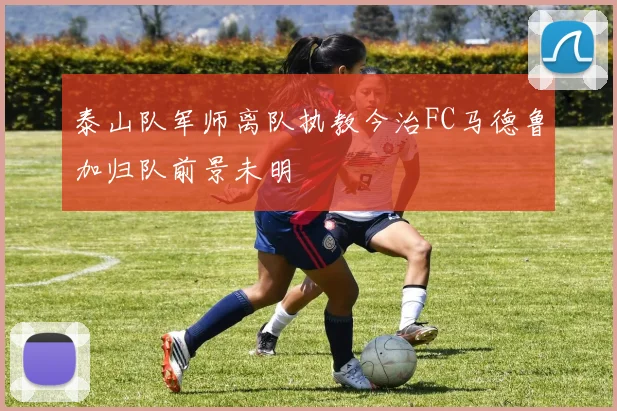 泰山队军师离队执教今治FC马德鲁加归队前景未明